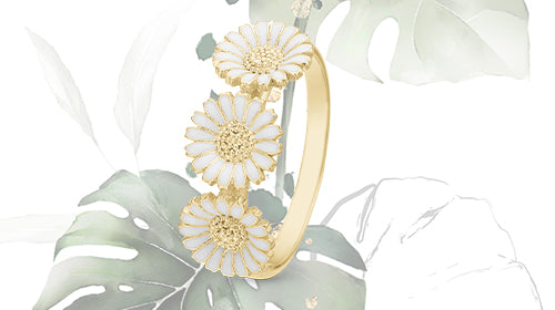 Ringe