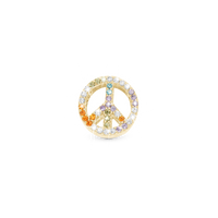 Shine in Peace Charm 6 mm til Classic Læderarmbånd - Blankpoleret Forgyldt Sterling Sølv m. 38 Multi color Cubic Zirkonia