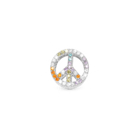 Shine in Peace Charm 6 mm til Classic Læderarmbånd - Blankpoleret Sterling Sølv m. 38 Multi color Cubic Zirkonia