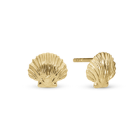 Clam Shell Ørestikker - Blankpoleret Forgyldt Sterling Sølv