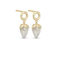 Grey Moonstone Ørestikker - Blankpoleret Forgyldt Sterling Sølv m. 1 Månesten