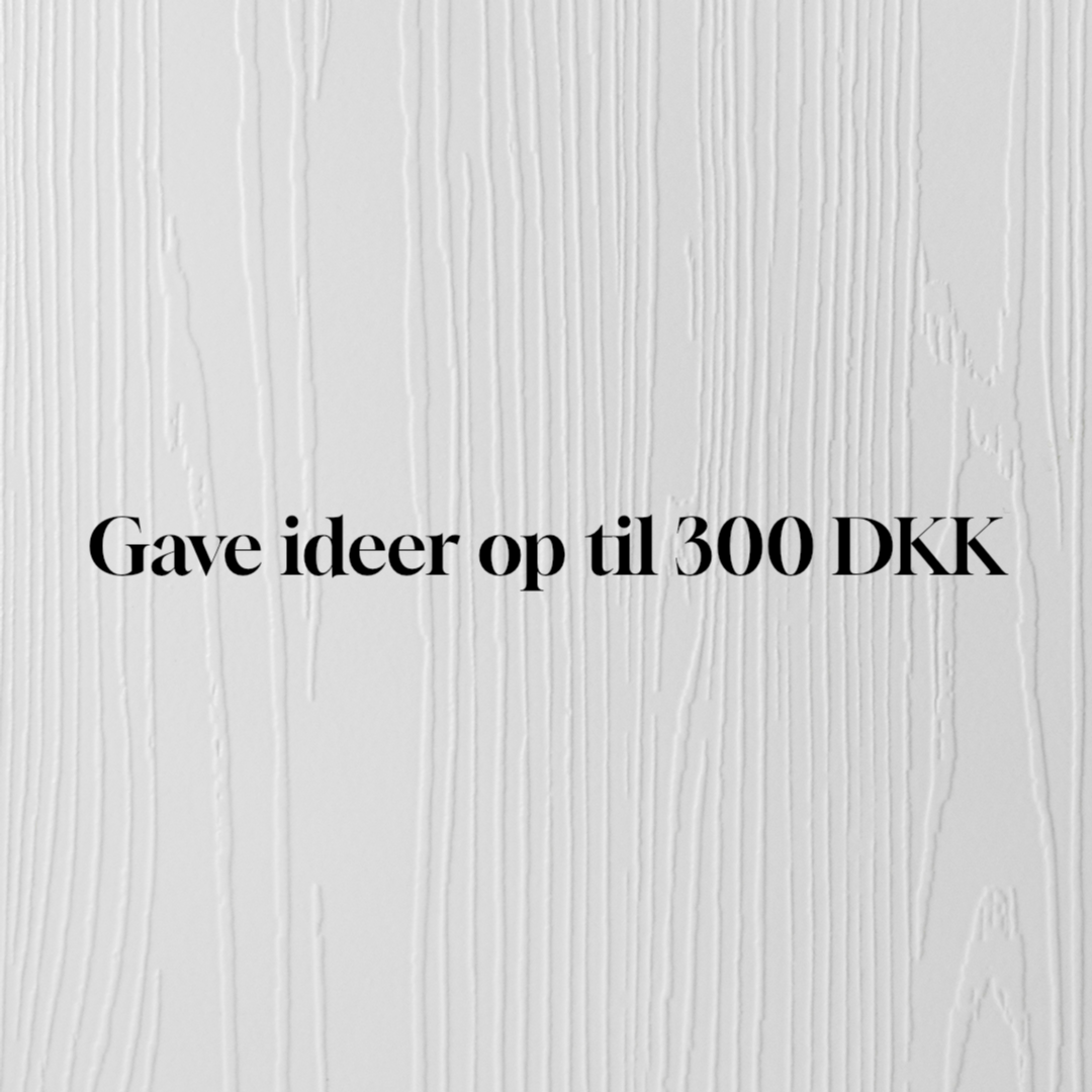 100-300 DKK