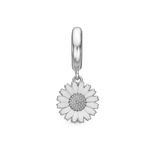 Charming Marguerite
