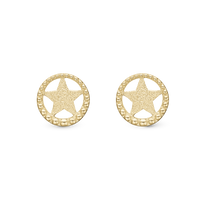 Star in A Circle, studs, goldpl silver