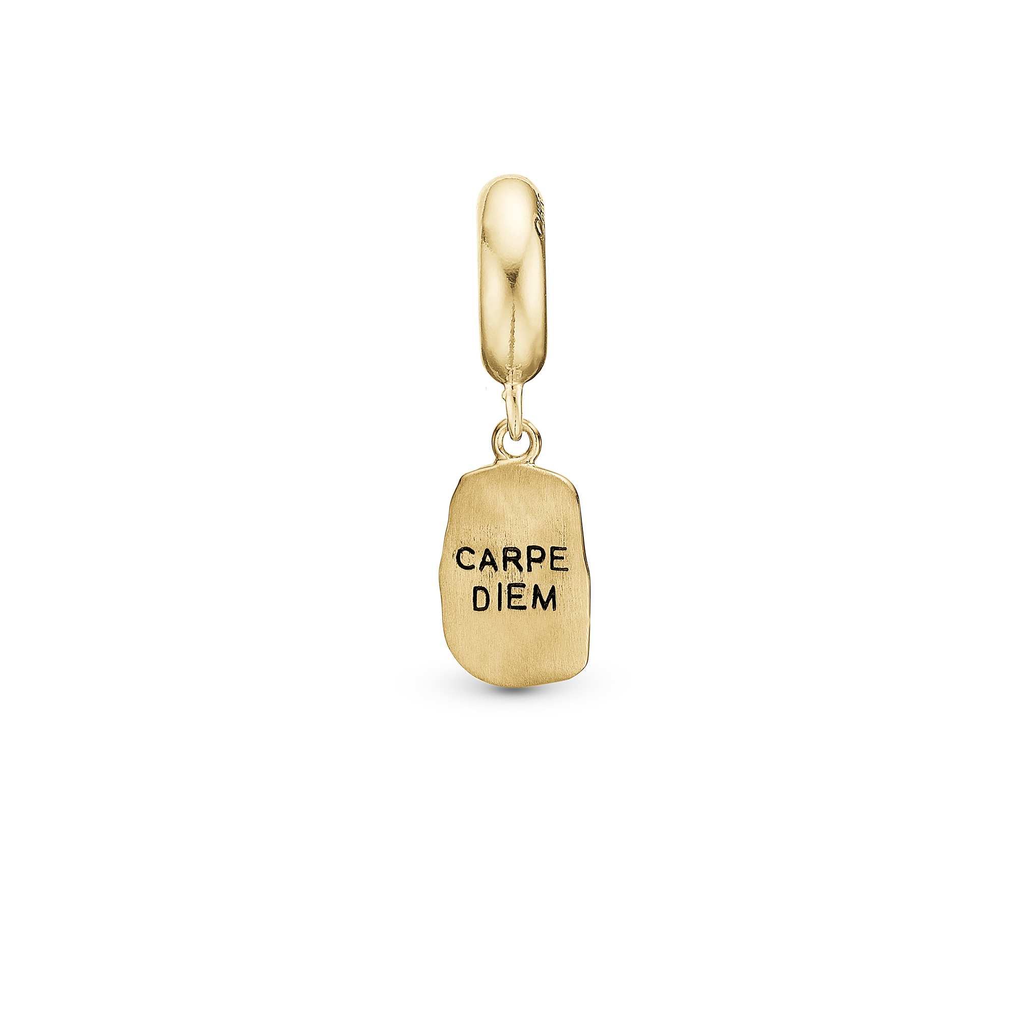 Carpe Diem Charms til sølvarmbånd - CHRISTINA