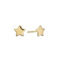 Shiny Star earrings