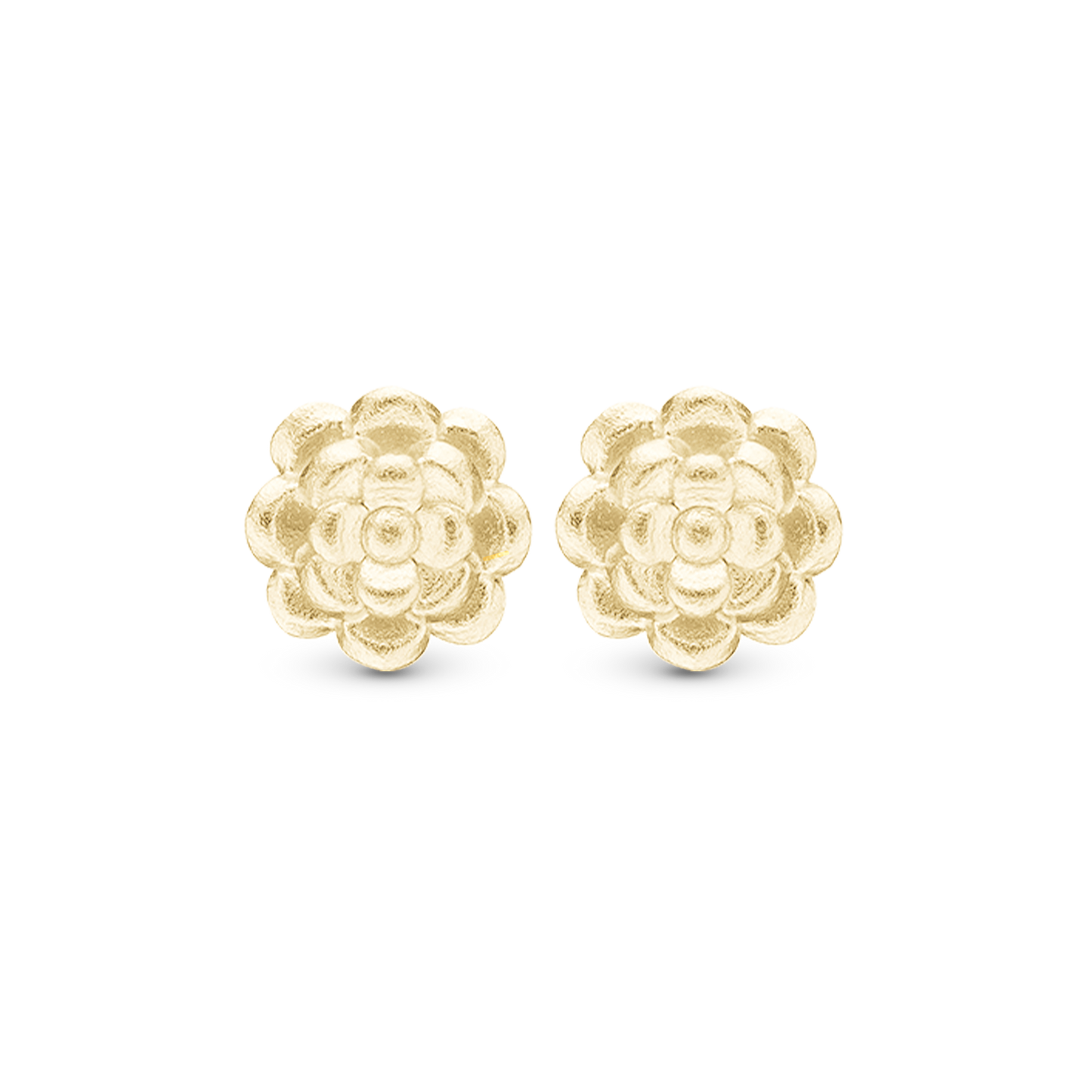 Roses, studs, goldpl silver