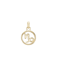 Capricorn pendant