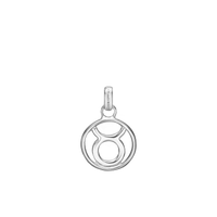 Taurus pendant